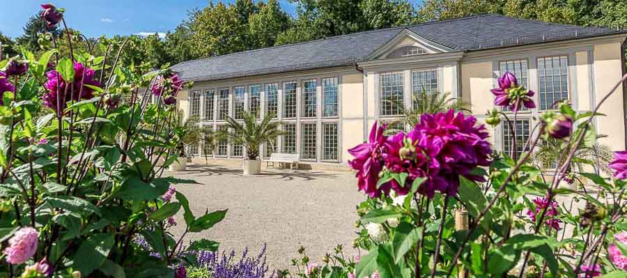 Als Hochzeitsfotograf in der Orangerie im Schloss Rosenau