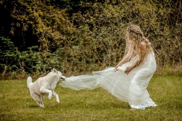 hochzeit-rudolstadt-grosskochberg-6241