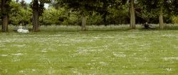 brautpaarshooting-50964096